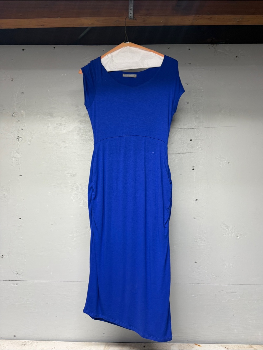 Elegant Blue Women's Dress